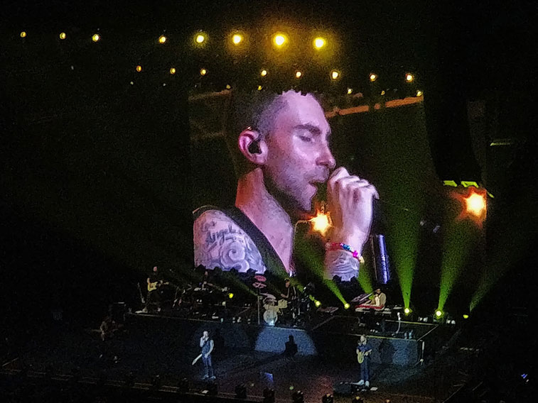 OMGAdamLevine